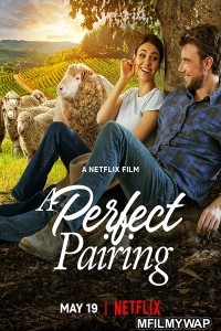 A Perfect Pairing (2022) Hindi Dubbed Movies