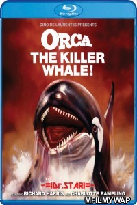 Orca The Killer Whale (1977) Hindi Dubbed Movies