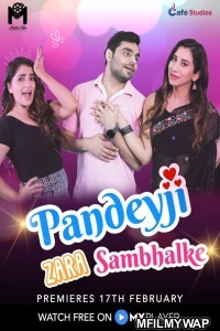 Pandeyji Zara Sambhalke (2021) Hindi Season 1 Complete Show