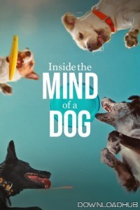 Inside The Mind of A Dog (2024) ORG Hindi Dubbed Movie