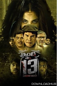 Inti Number 13 (2024) Telugu Movie